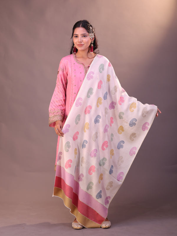 Stripe Palla Paisley Embroidery Stole White