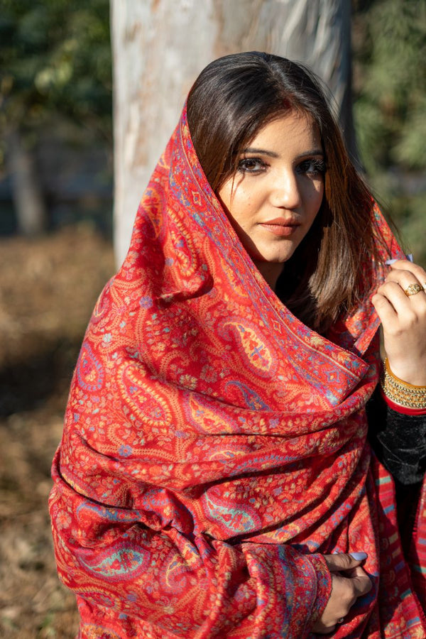 Paisley Jaal Zari Kani Shawl Red