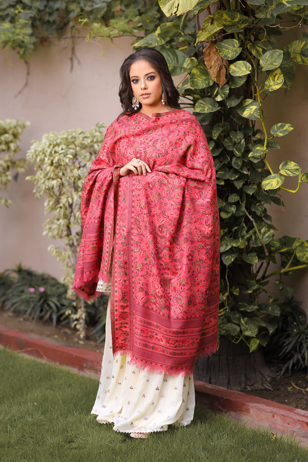 Fine Wool Paisely Palla Kani Shawl